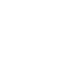 MG Logo